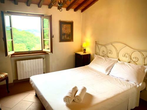 Agroturismo Farneto