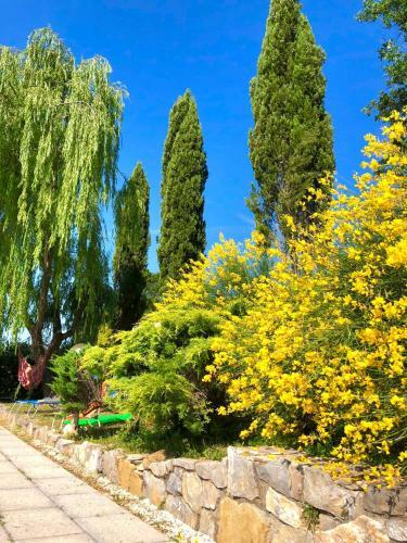 Agroturismo Farneto
