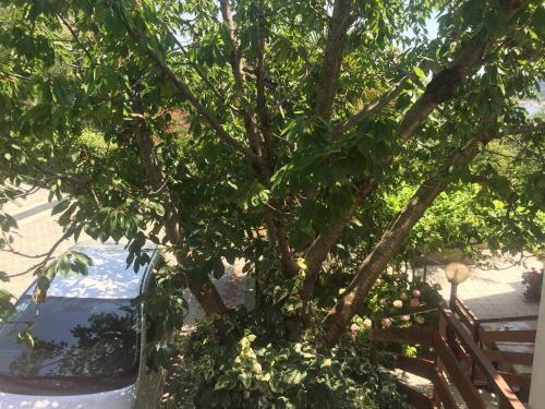 Hostal Apartments And Rooms Krstina