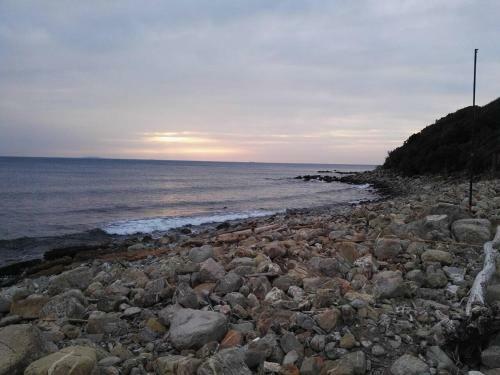 Apartamento Monolocale In Residence