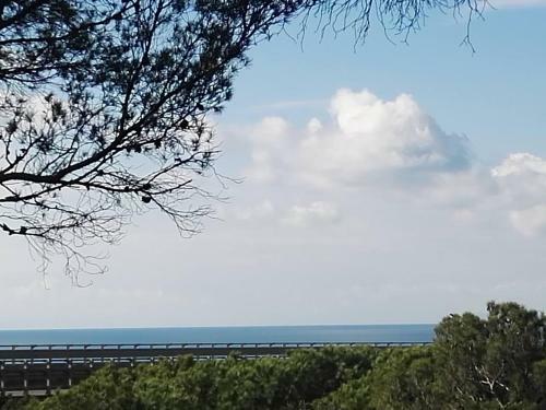 Apartamento Monolocale In Residence