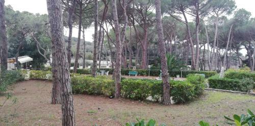 Apartamento Monolocale In Residence