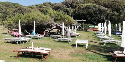 Apartamento Monolocale In Residence