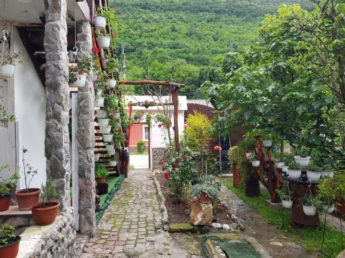 Hostal Pensiunea Casa Montana