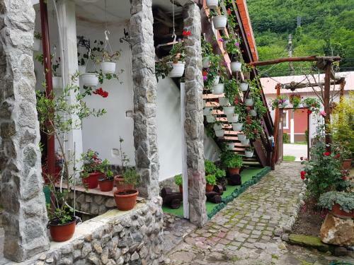 Hostal Pensiunea Casa Montana