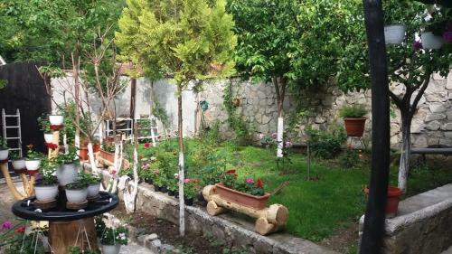 Hostal Pensiunea Casa Montana