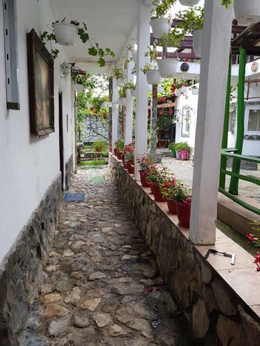 Hostal Pensiunea Casa Montana