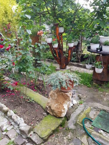 Hostal Pensiunea Casa Montana