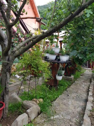 Hostal Pensiunea Casa Montana