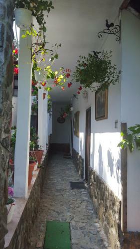 Hostal Pensiunea Casa Montana