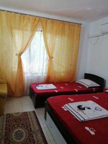 Hostal Casa Ancora Sulina
