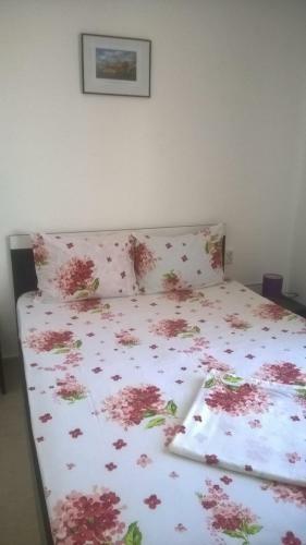 Hostal Casa Ancora Sulina