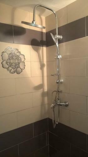 Hostal Casa Ancora Sulina