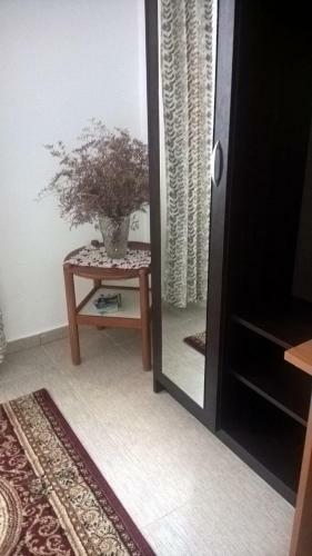 Hostal Casa Ancora Sulina