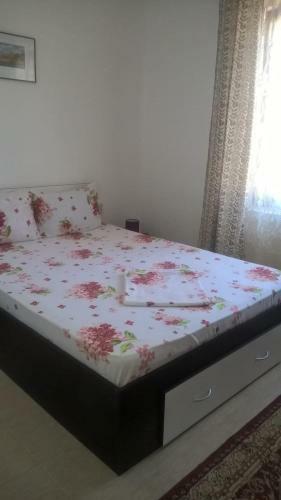 Hostal Casa Ancora Sulina