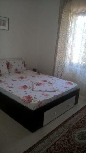 Hostal Casa Ancora Sulina