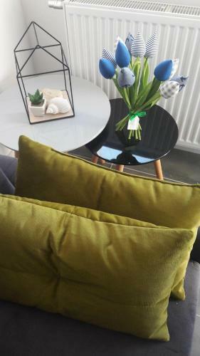 Apartament U Szewc�w