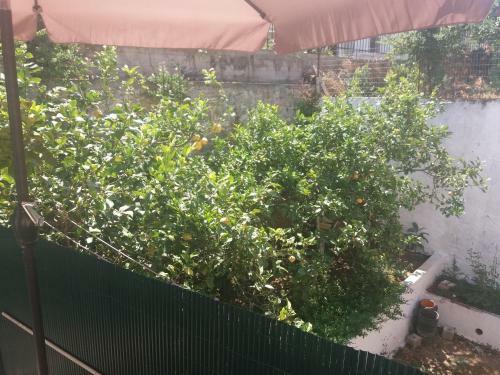 Apartamento Jenny Studios