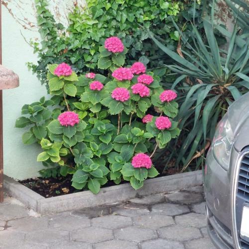 Apartamento Grcic House