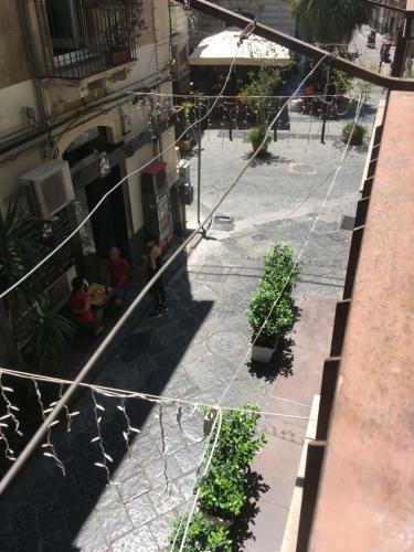 Apartamento Circle House Santa Filomena