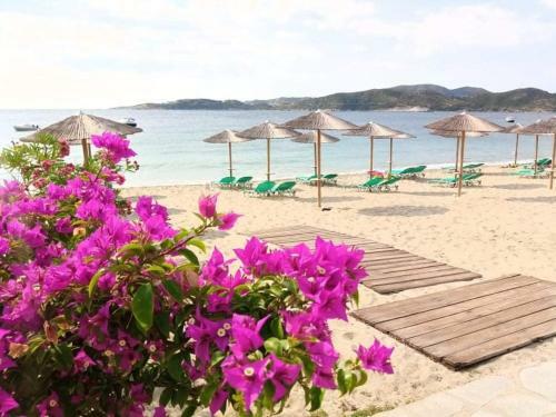 Vilas In The Garden By The Sea