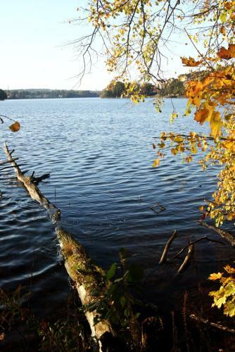 Agroturismo Pokoje Discovery Mazury