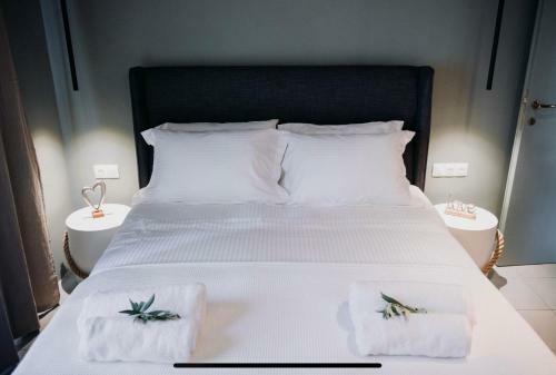 Apartamento Luxury Living Volos