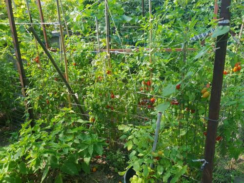 Apartamento Allou Garden House