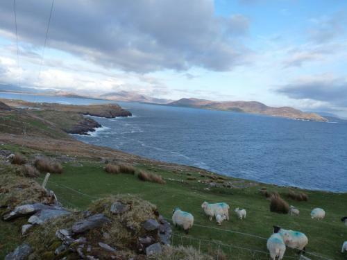 Skellig Cottages