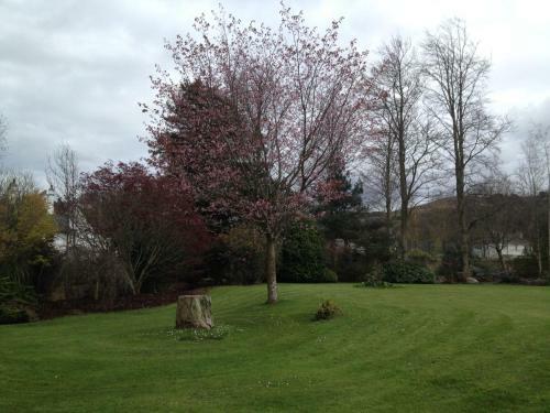 Raheen House Hotel