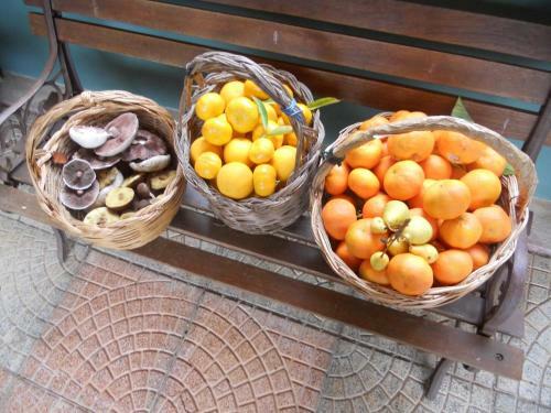 Bed & Breakfast B & B Marcarius