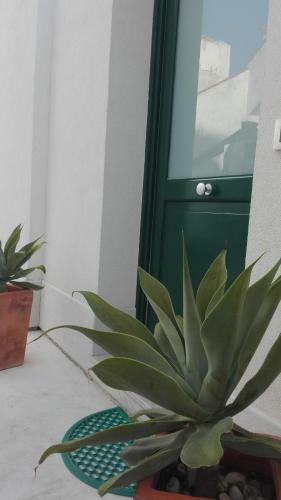 Apartamento Antico Cortile Favignana
