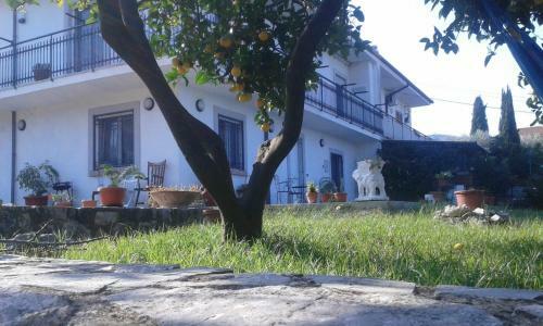 Apartamento Appartamento In Collina