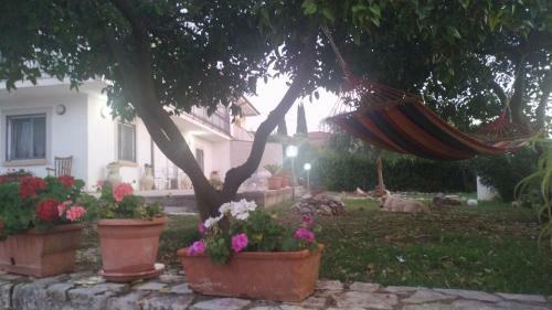Apartamento Appartamento In Collina