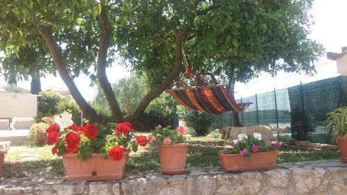 Apartamento Appartamento In Collina