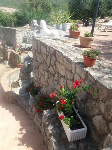 Apartamento Appartamento In Collina