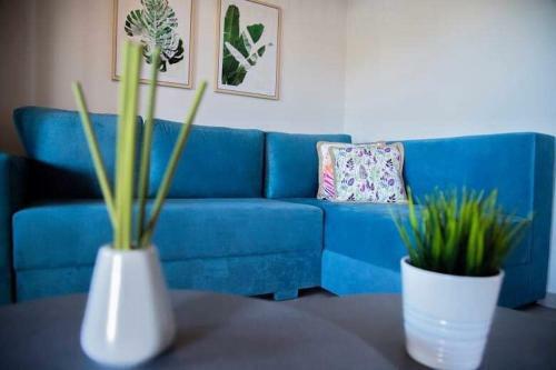 Aelia Boutique Apartments & Rooms