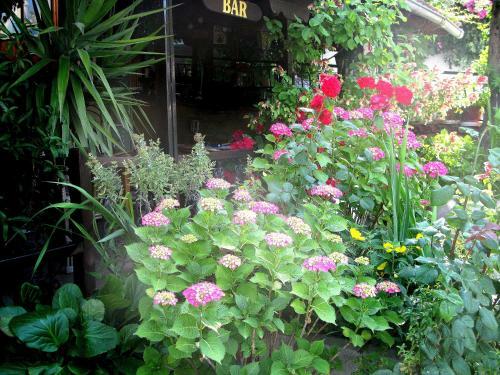 Hotel Apartments Erato