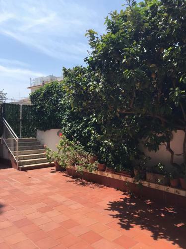 Bed & Breakfast Astro Nascente