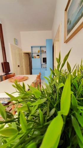 Apartamento Alloggio Turistico La Calla