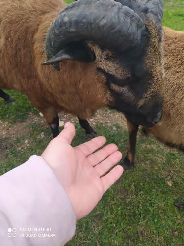 Agroturystyka Nad Jeziorem Sejwy