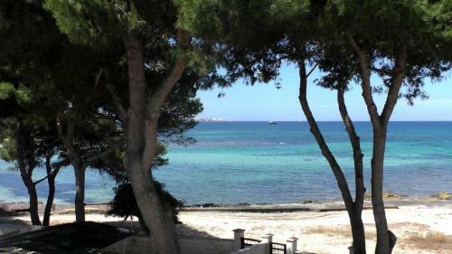 Apartamento Appartamento Con Giardino Sul Mare