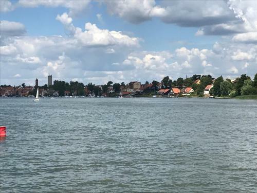 Przytulisko Na Mazurach