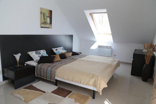 Apartament Ams A12
