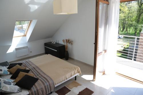 Apartament Ams A12