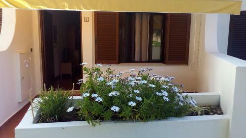 Apartamento Casal Das Alfarrobeiras, 7