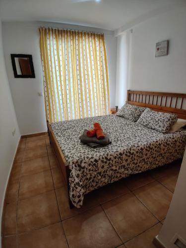 Habitaci�n Privada Marina Botafoch 2