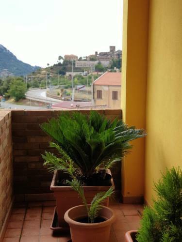 Apartamento Il Granchio