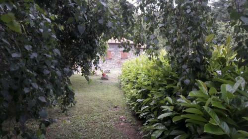 Agroturismo La Selva Di Nasio