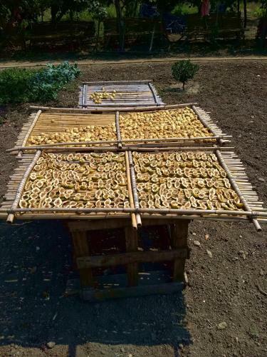Agroturismo Dimore Storiche - Ulivo Di Aldo